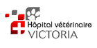 Hôpital Vétérinaire Victoria - Logo