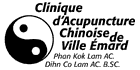 Clinique d'Acupuncture Chinoise de Ville Emard - Logo