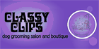 Classy Clips Inc - Logo